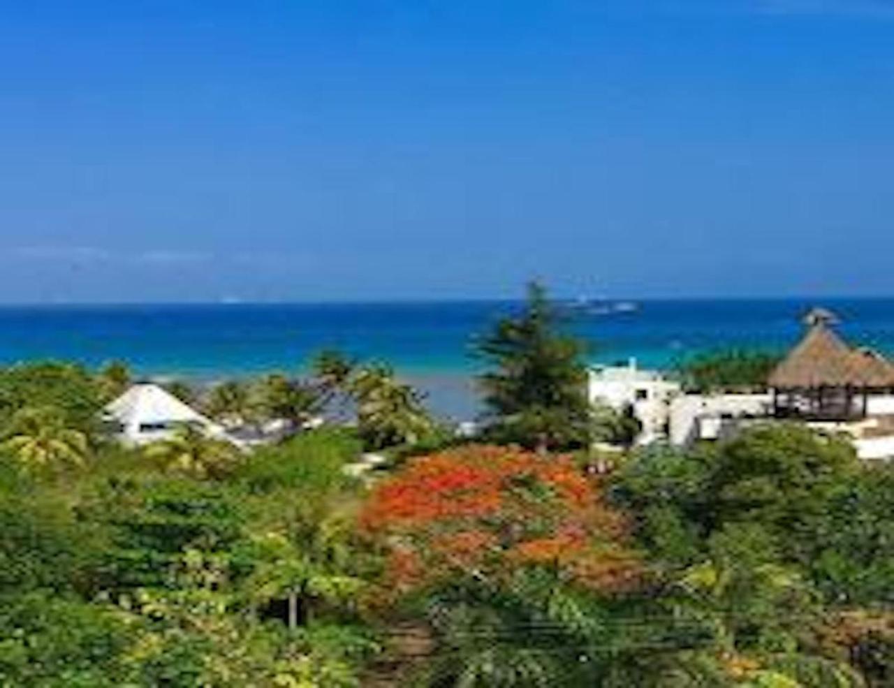 Acanto Hotel Playa Del Carmen, Trademark Collection By Wyndham Esterno foto